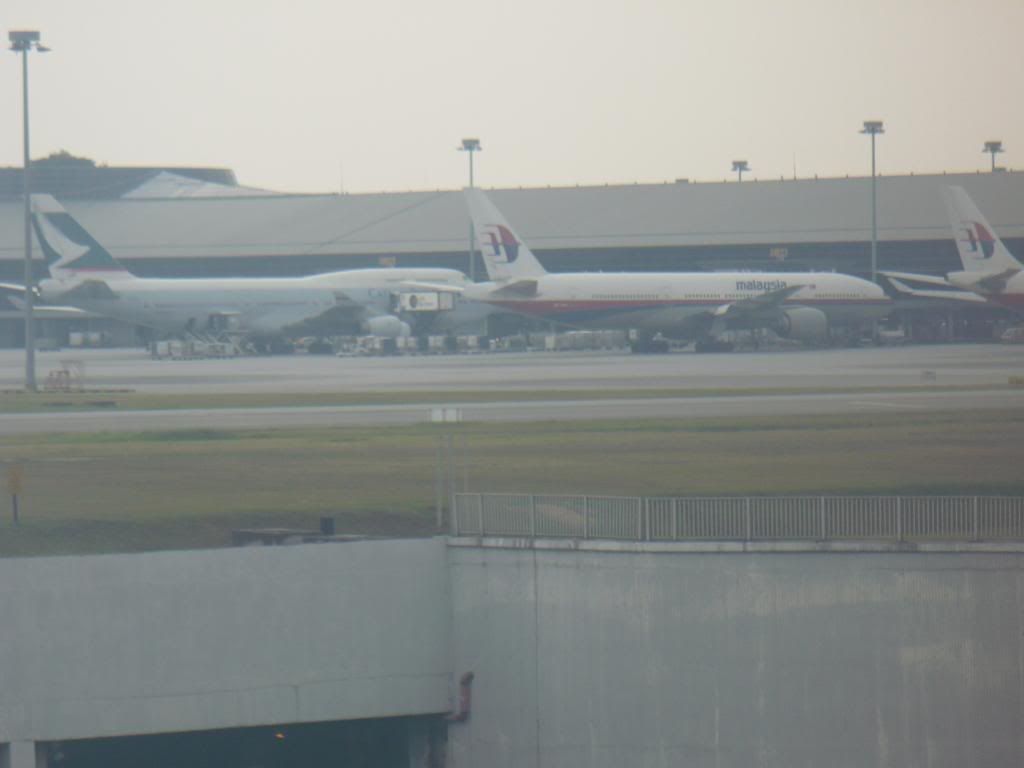 IMG552.jpg
