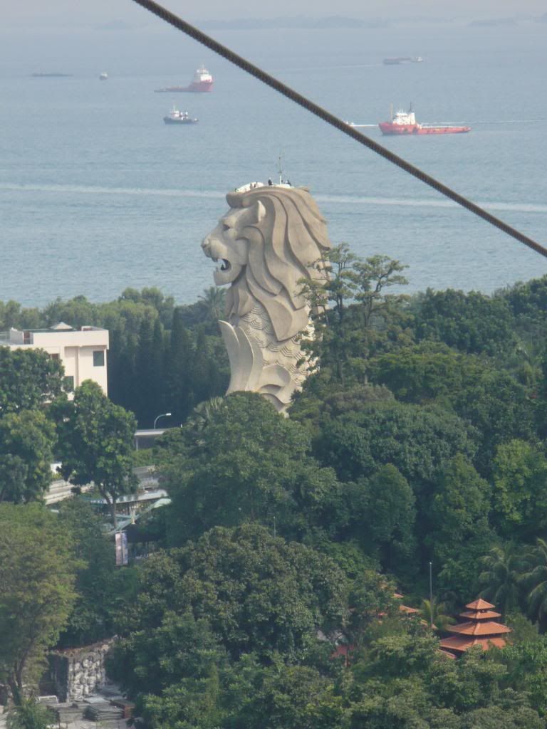 IMG591.jpg