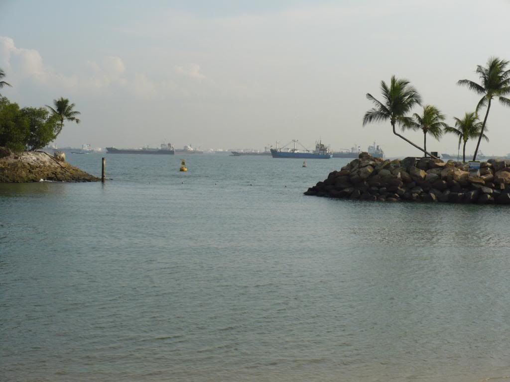 IMG595.jpg