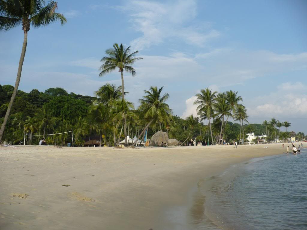 IMG596.jpg