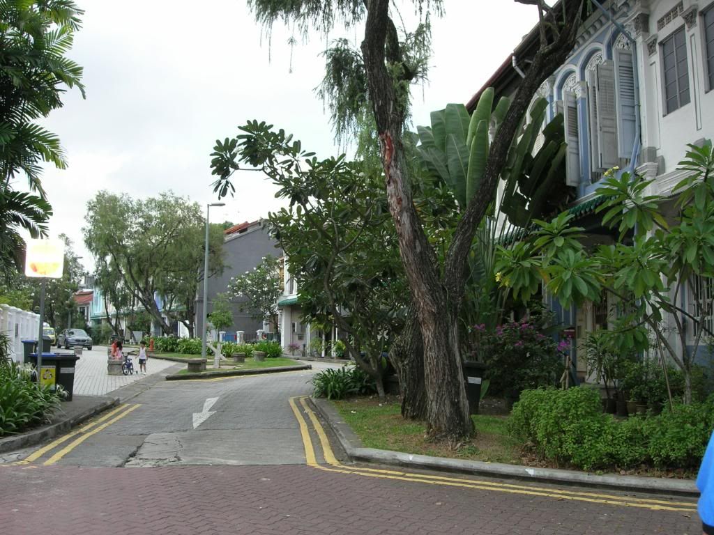 IMG601.jpg