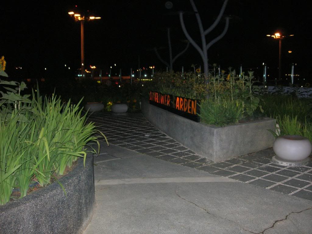 IMG628.jpg