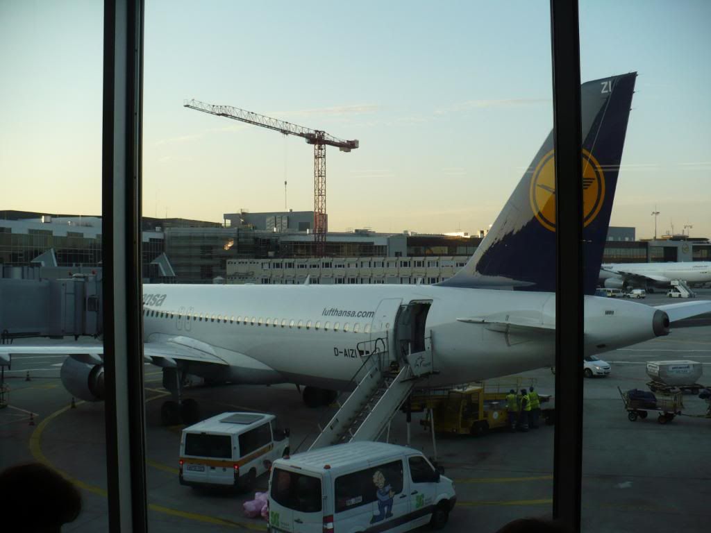 IMG658.jpg