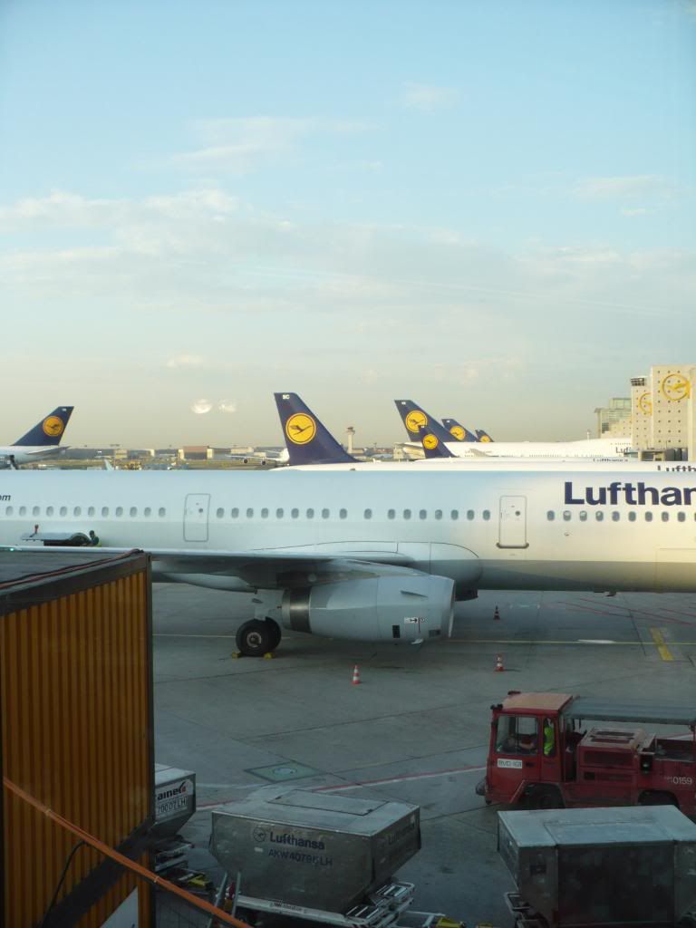 IMG664.jpg