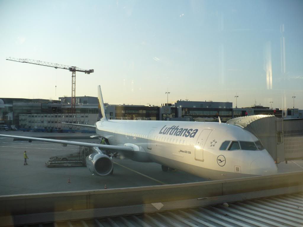 IMG667.jpg