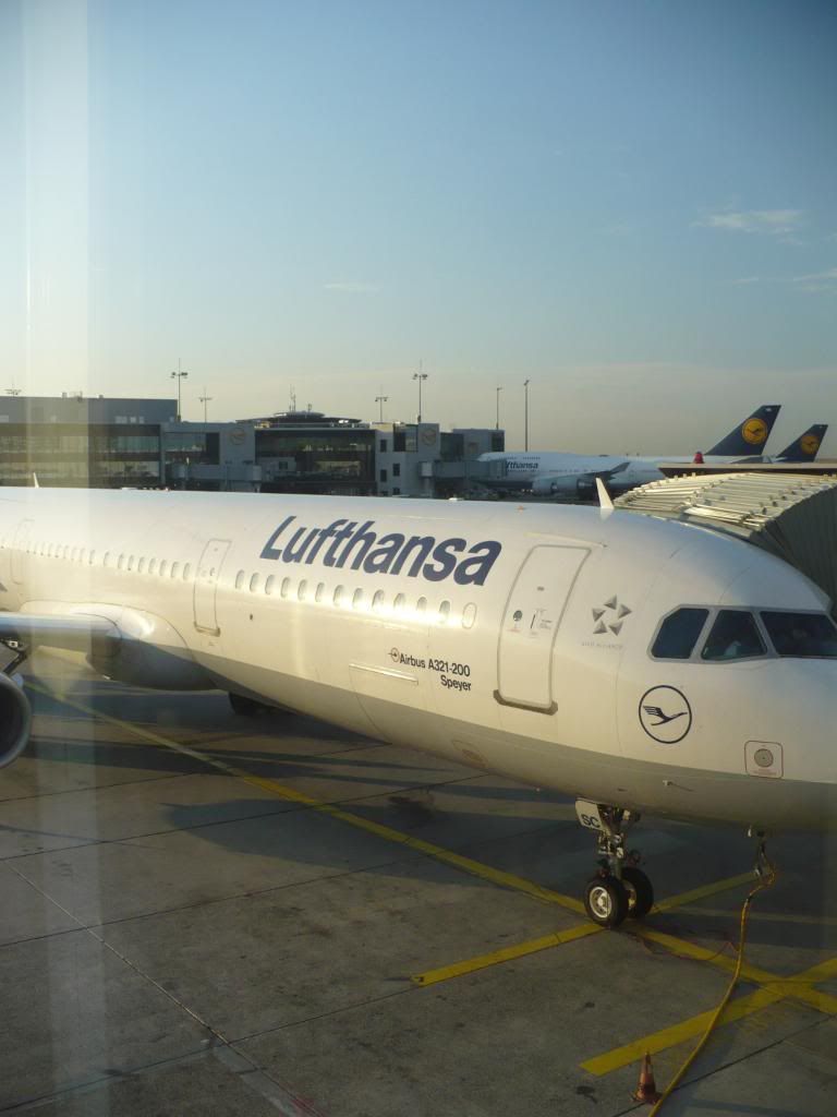 IMG669.jpg