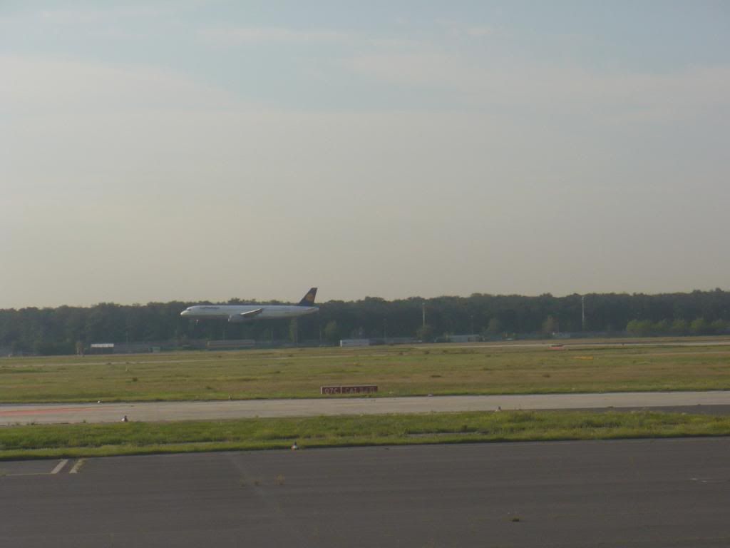 IMG681.jpg
