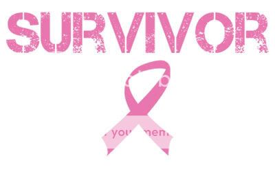 Breast Cancer Awareness Ribbon Survivor Hoody Hoodie